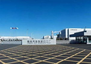 半年后或能提车 领克01 抢购风潮 后是难以兑现